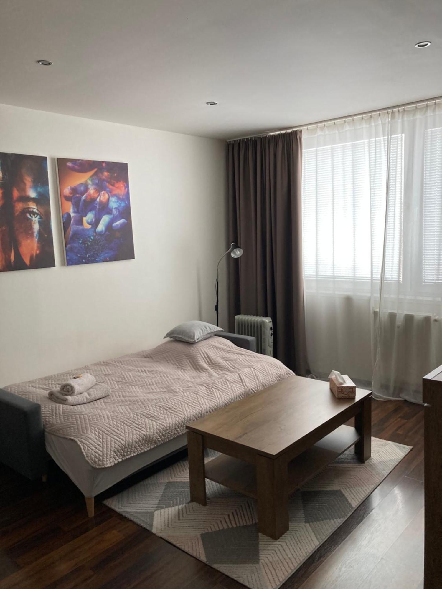 Apartman Zemplin Michalovce Ngoại thất bức ảnh